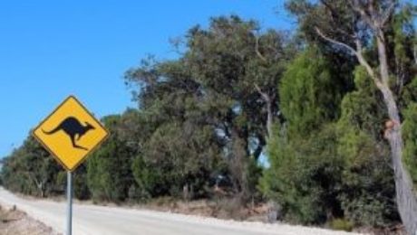 driving in Australia with overseas licence